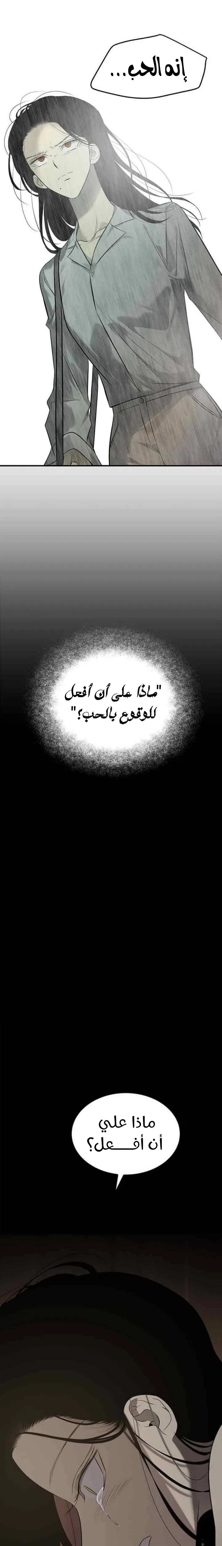 الصفحة 30