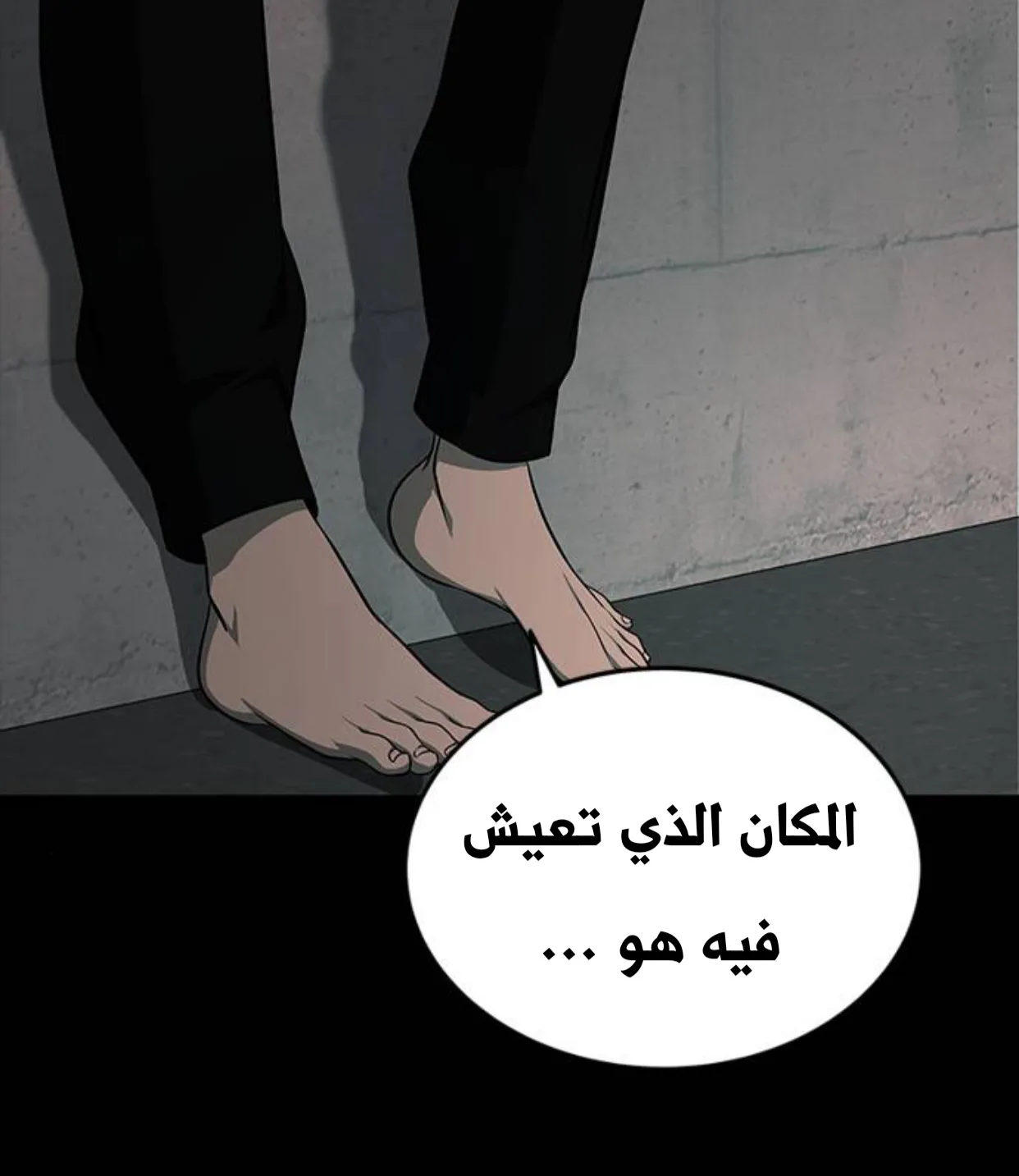 الصفحة 11