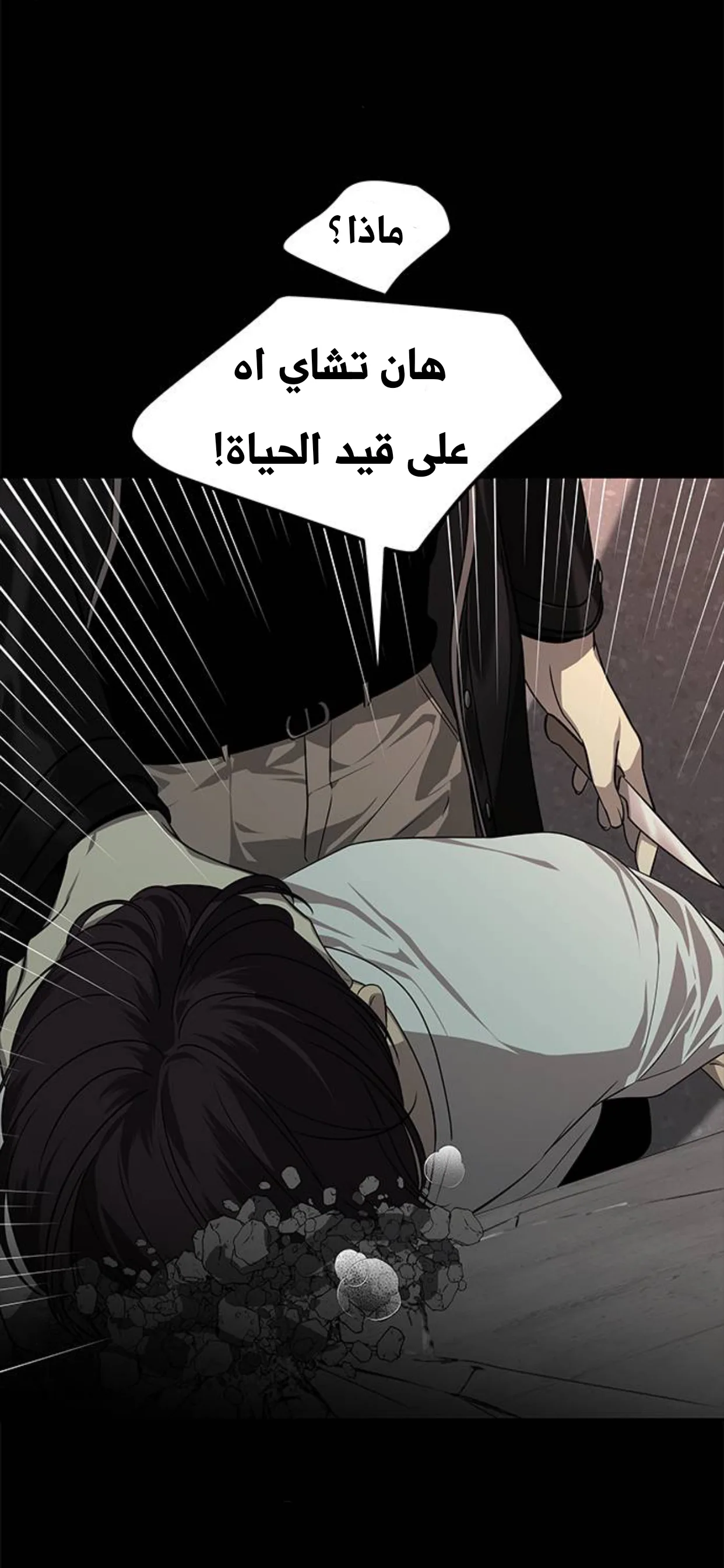 الصفحة 30