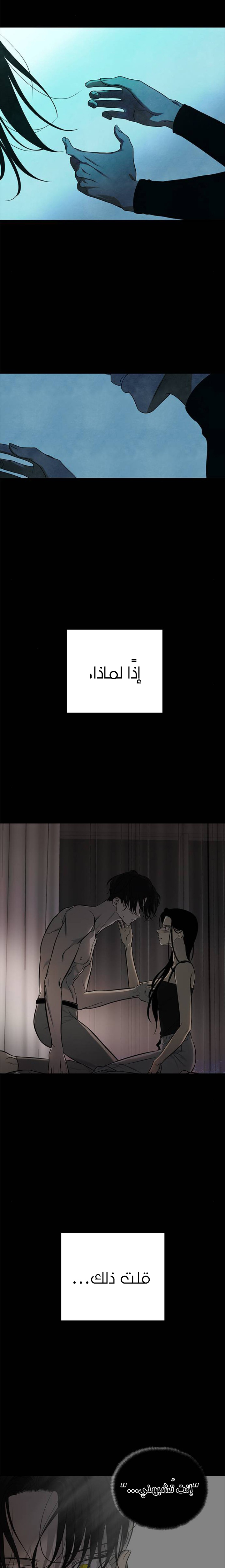 الصفحة 13