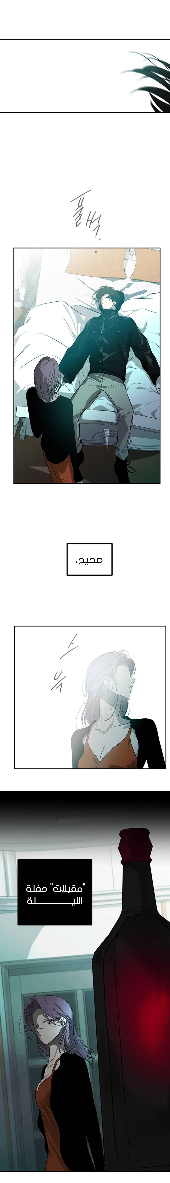 الصفحة 17