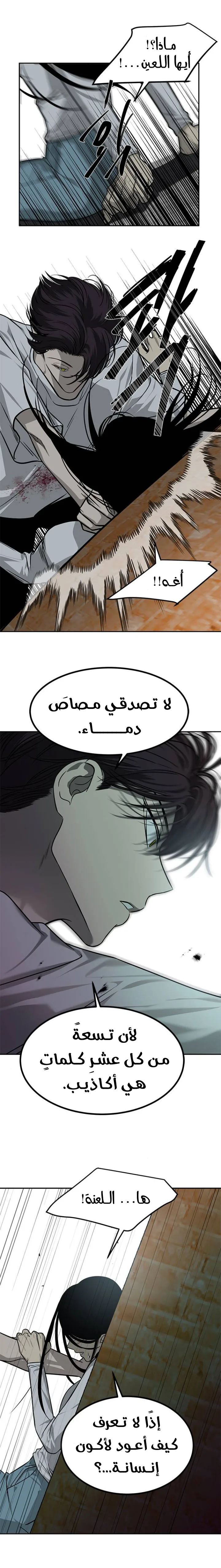 الصفحة 20