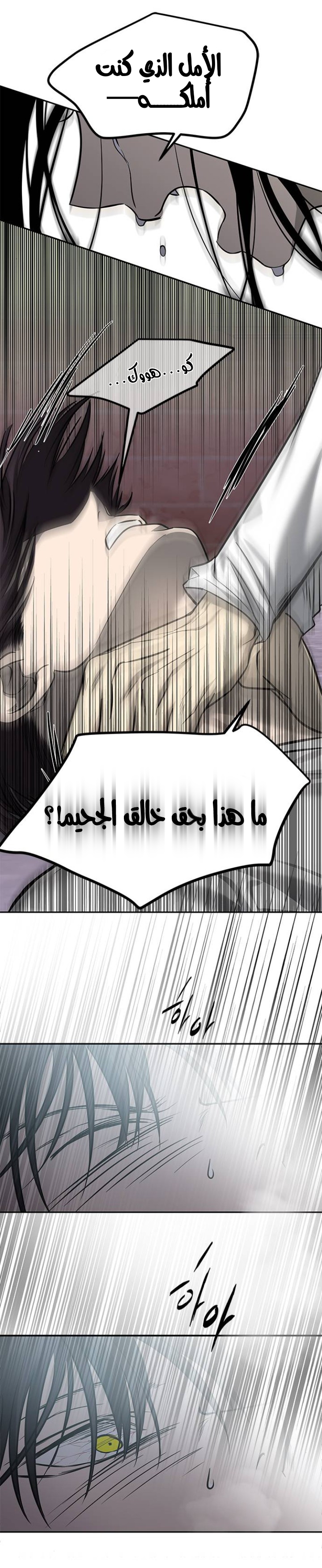 الصفحة 25