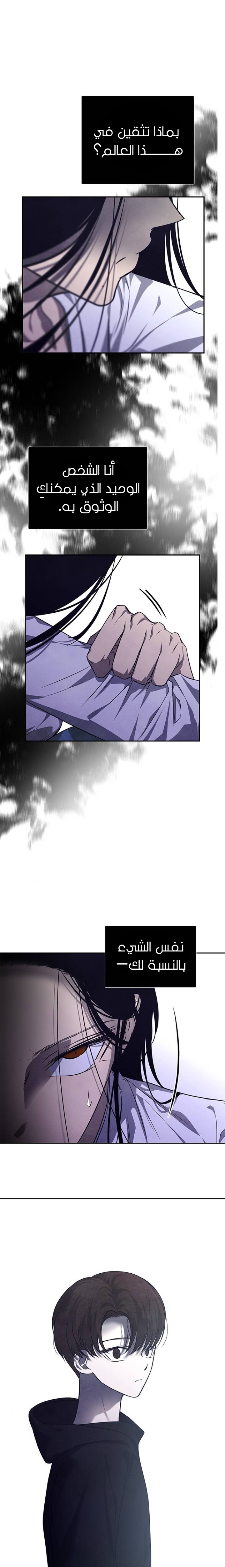 الصفحة 13
