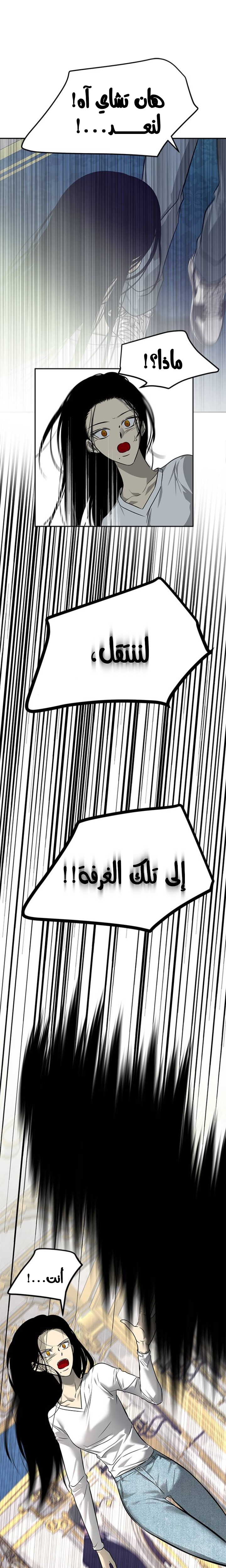 الصفحة 27