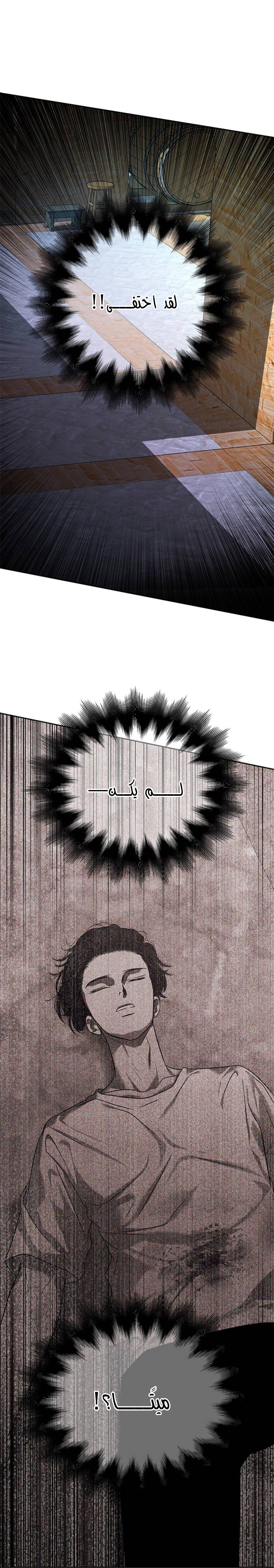 الصفحة 33