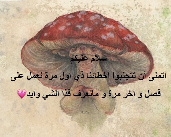 الصفحة 69