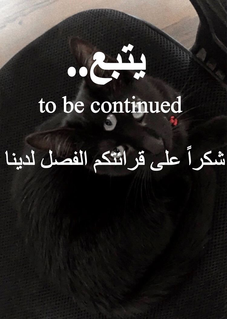 الصفحة 73
