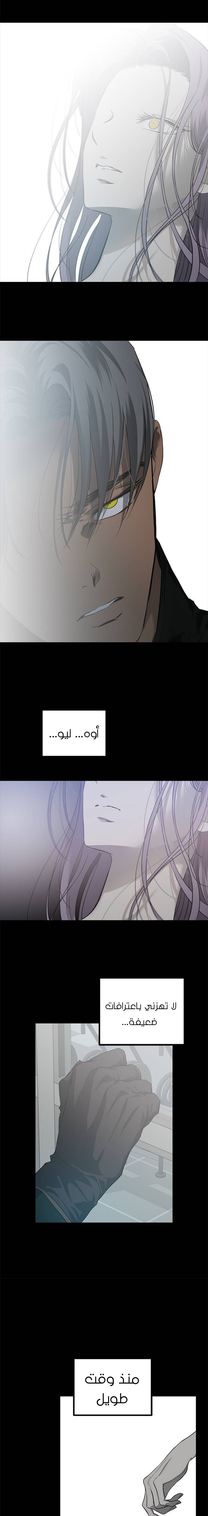 الصفحة 22