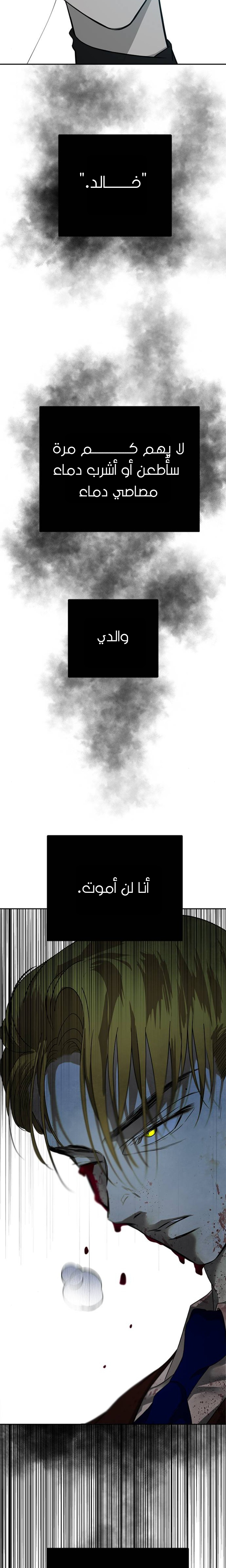 الصفحة 27