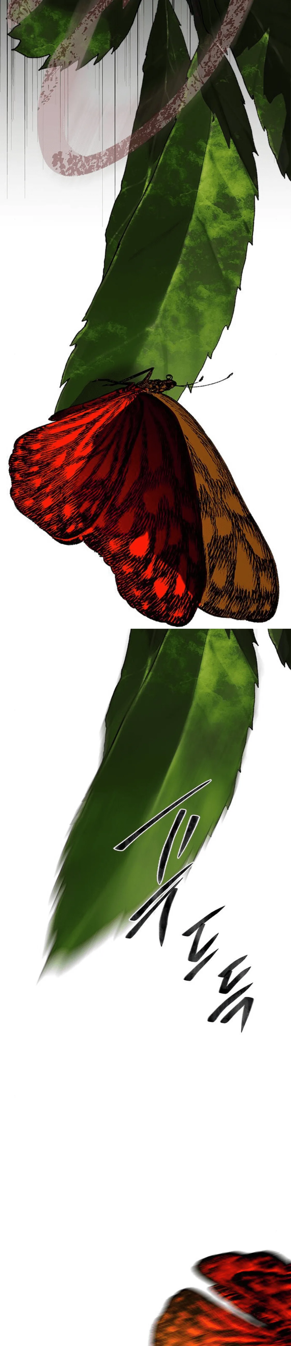 الصفحة 25