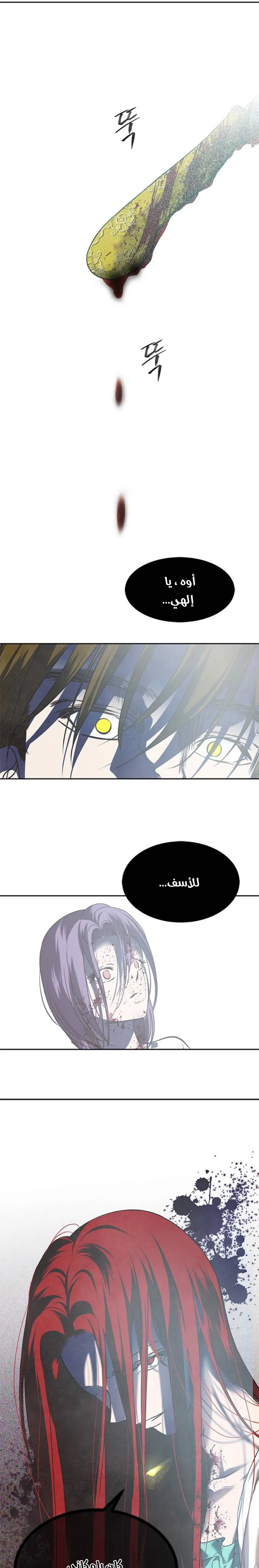 الصفحة 24