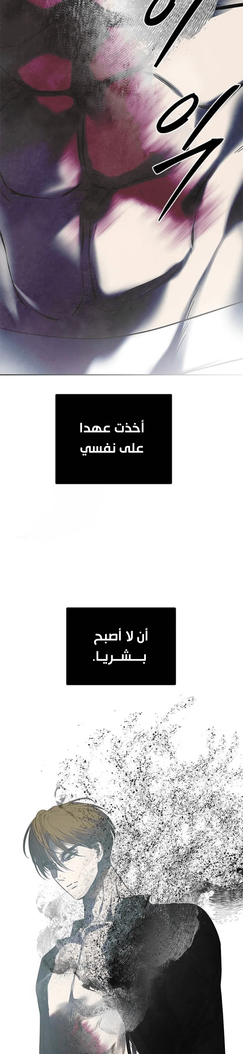 الصفحة 29