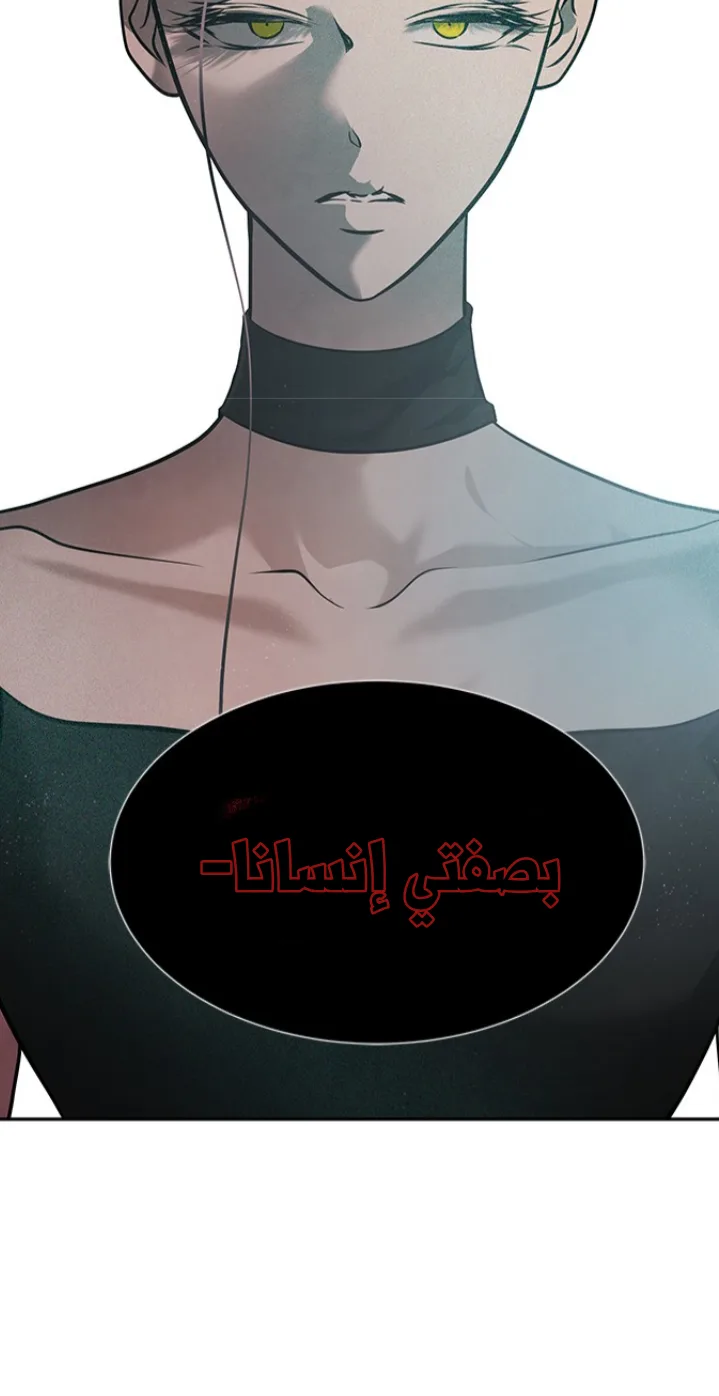 الصفحة 22