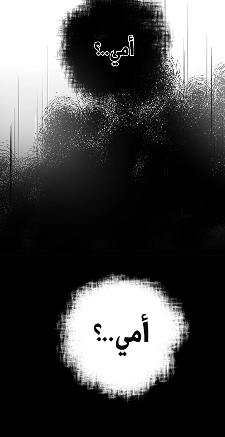 الصفحة 29