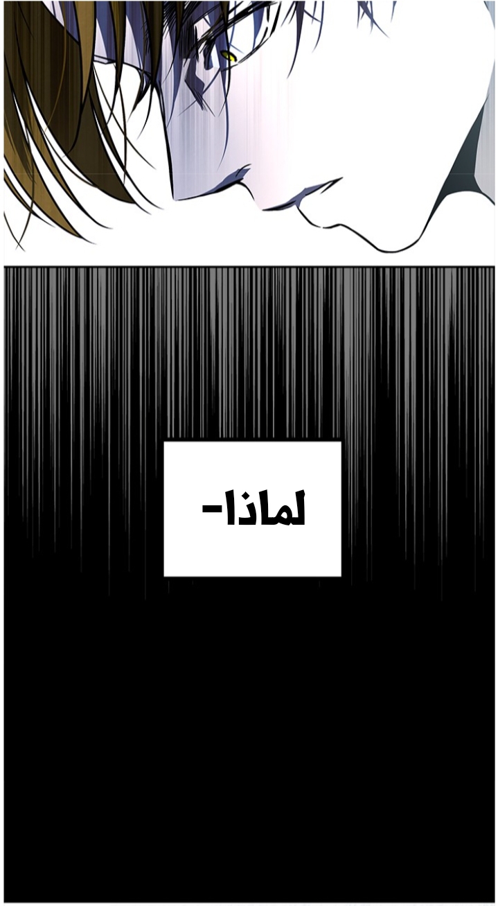 الصفحة 53