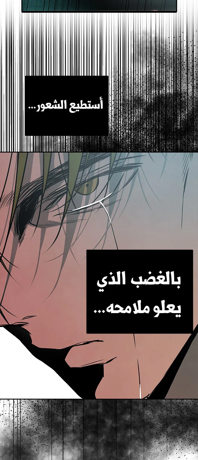الصفحة 27