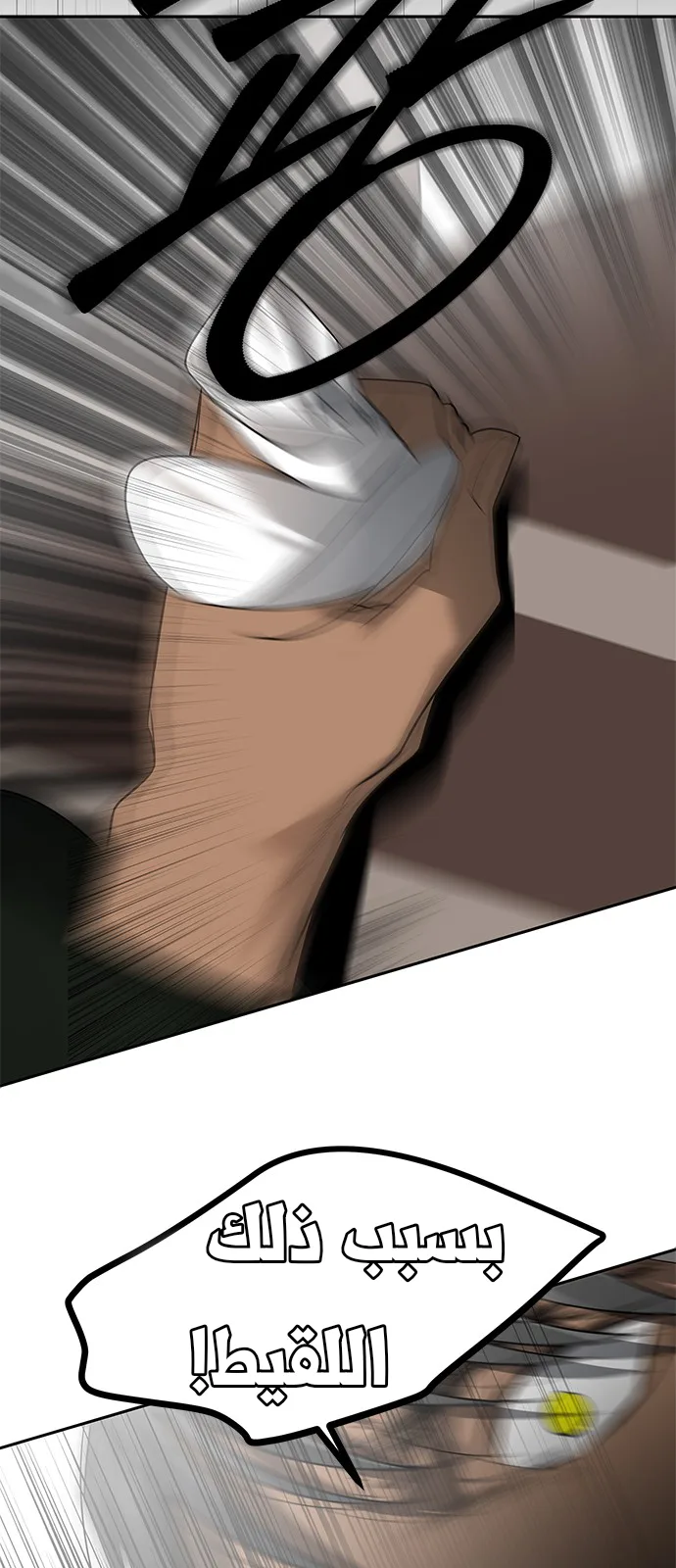 الصفحة 67
