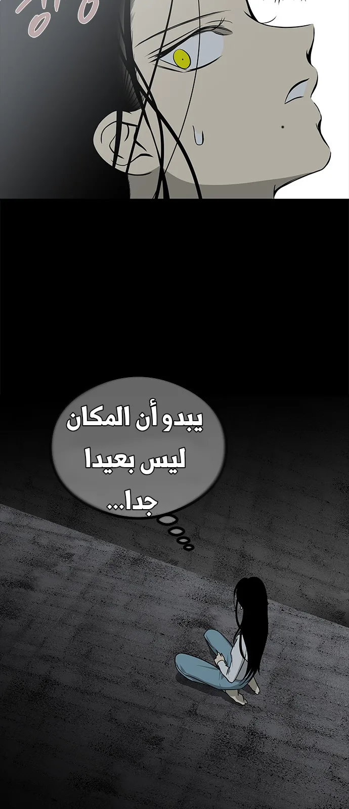 الصفحة 25