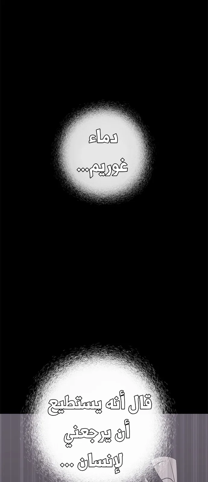 الصفحة 29