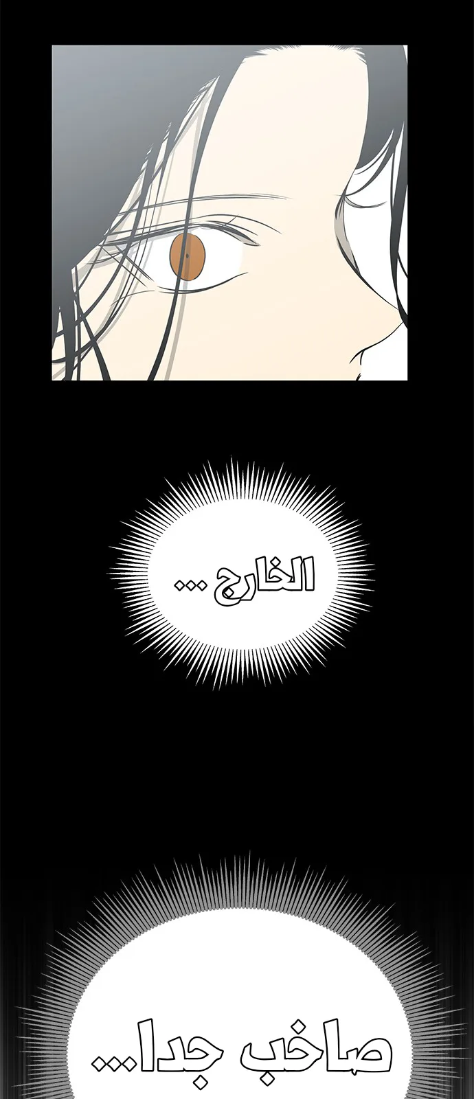 الصفحة 41