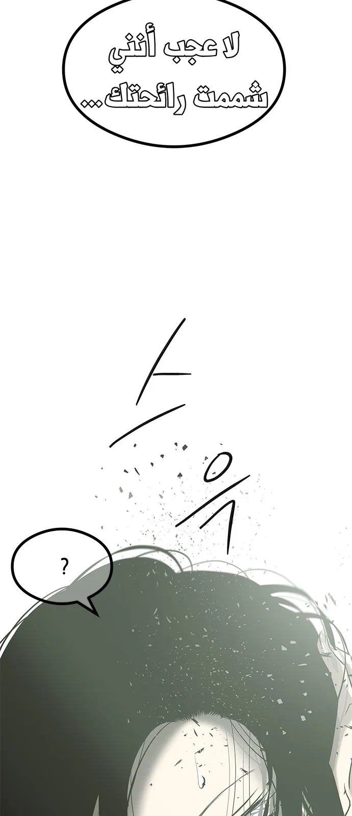 الصفحة 54