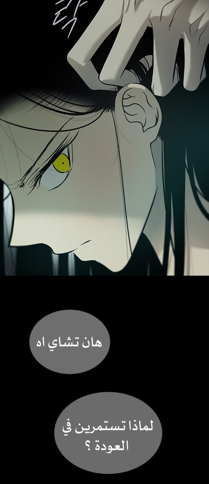 الصفحة 22