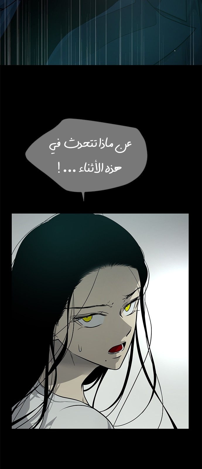 الصفحة 41