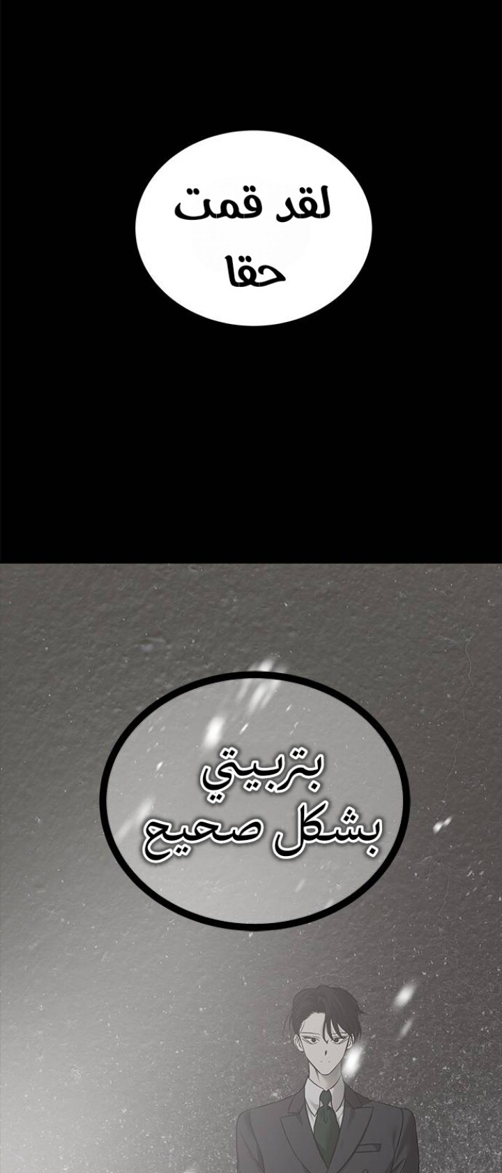 الصفحة 29