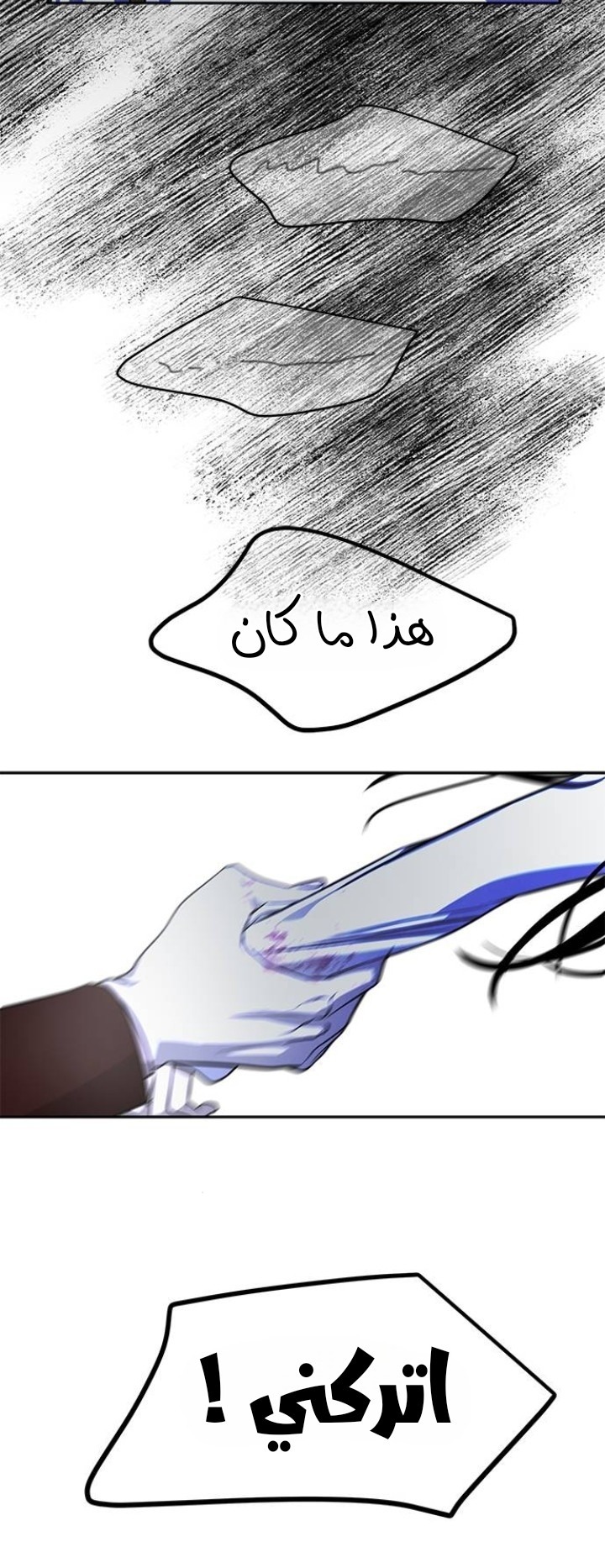 الصفحة 25