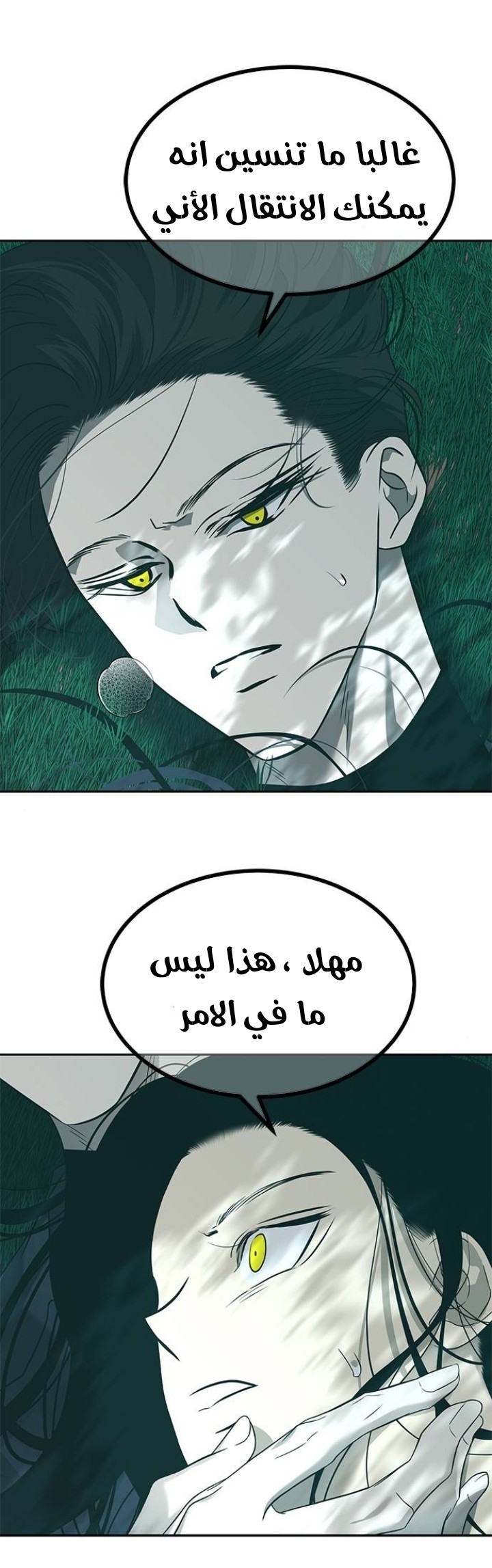 الصفحة 30