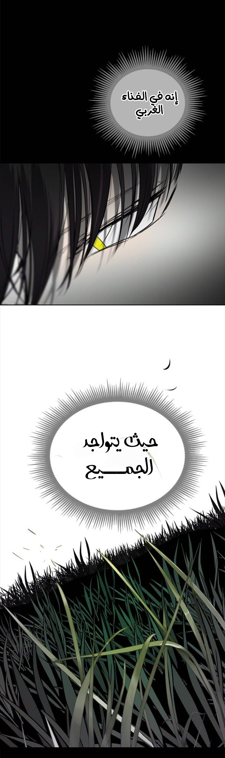 الصفحة 20