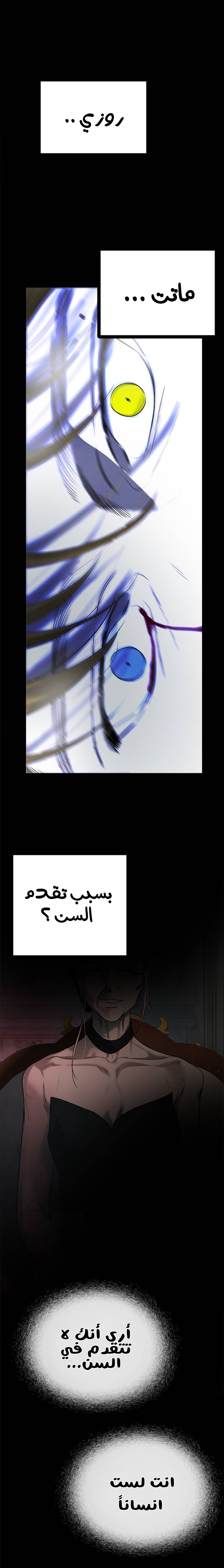 الصفحة 52
