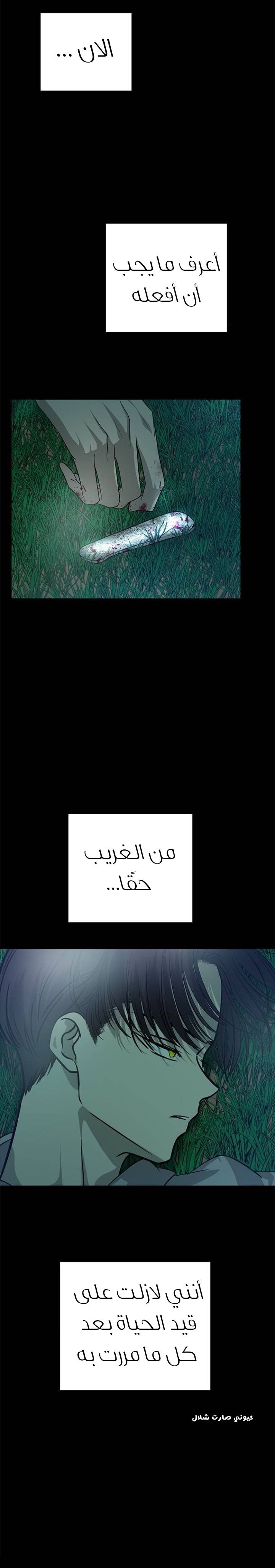 الصفحة 28