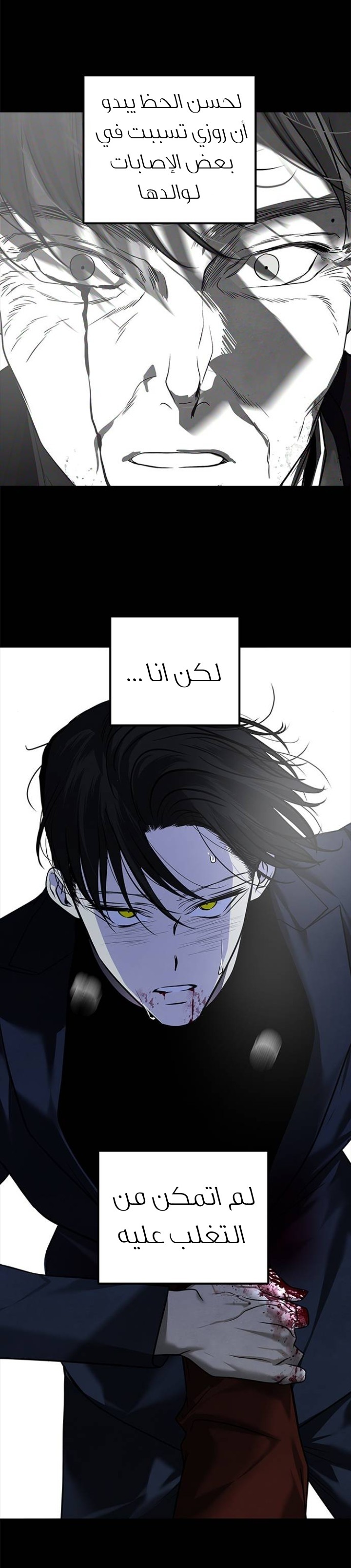 الصفحة 13