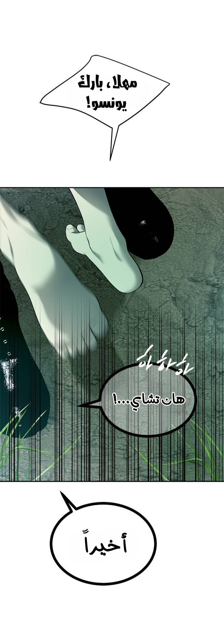 الصفحة 24