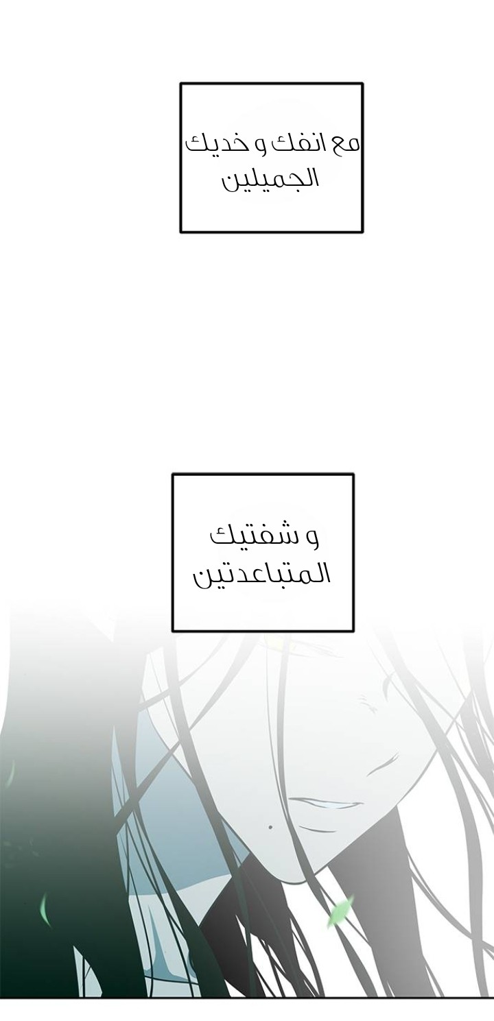 الصفحة 37