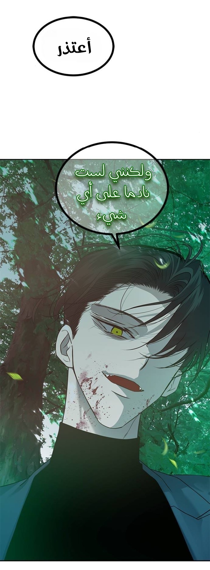الصفحة 41