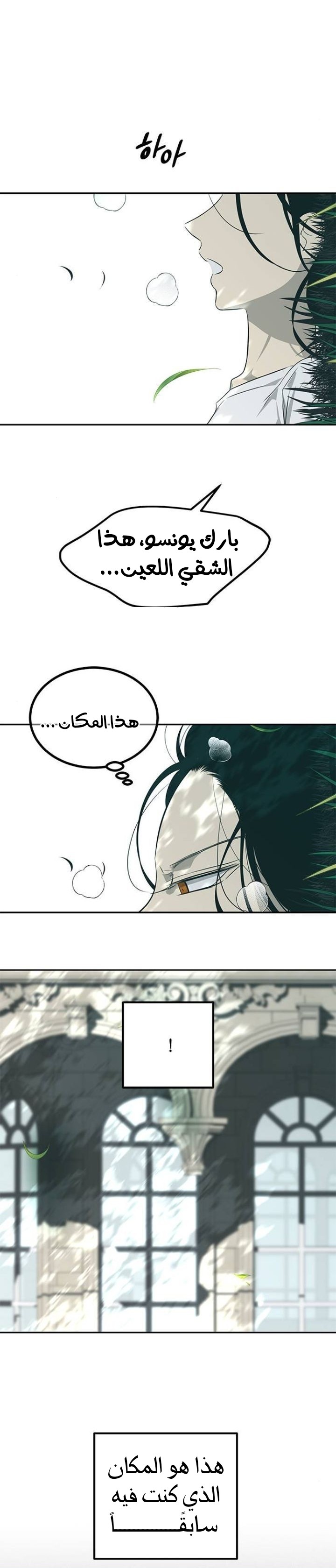 الصفحة 11