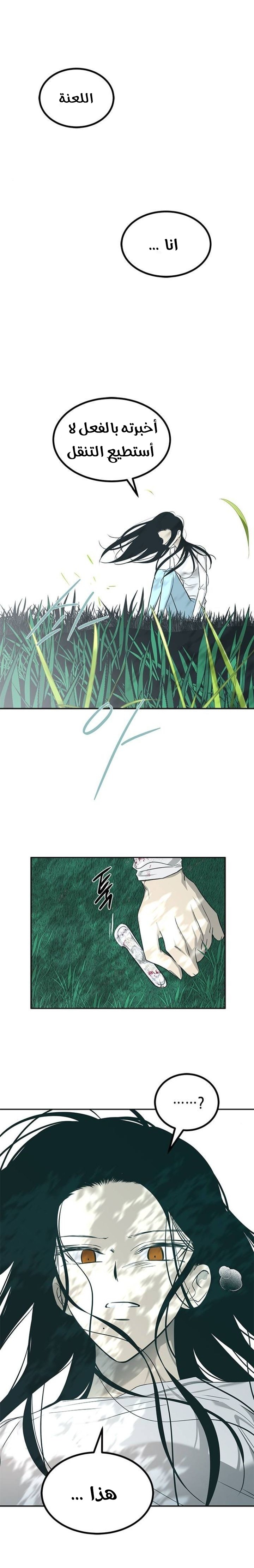 الصفحة 13