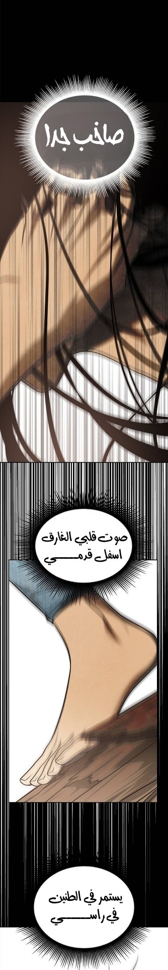 الصفحة 24
