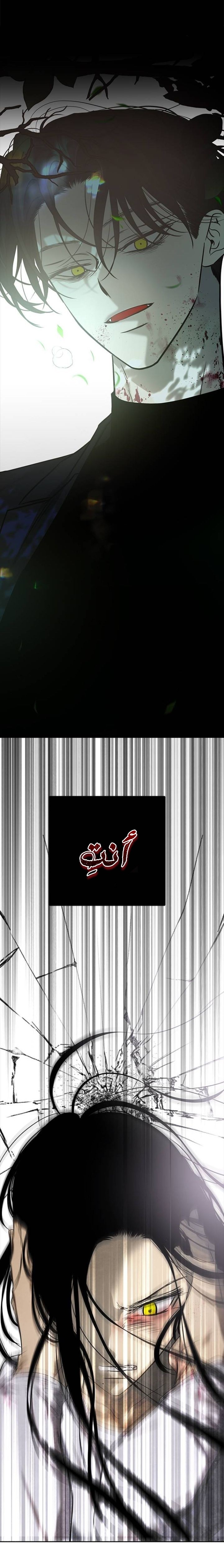 الصفحة 26