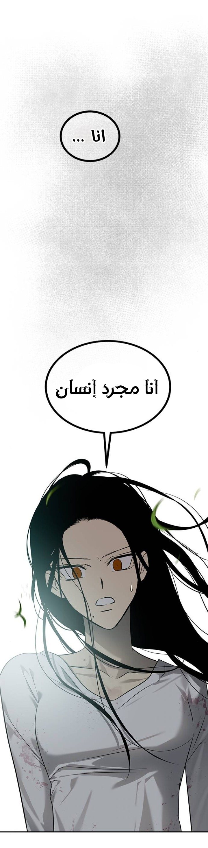 الصفحة 20