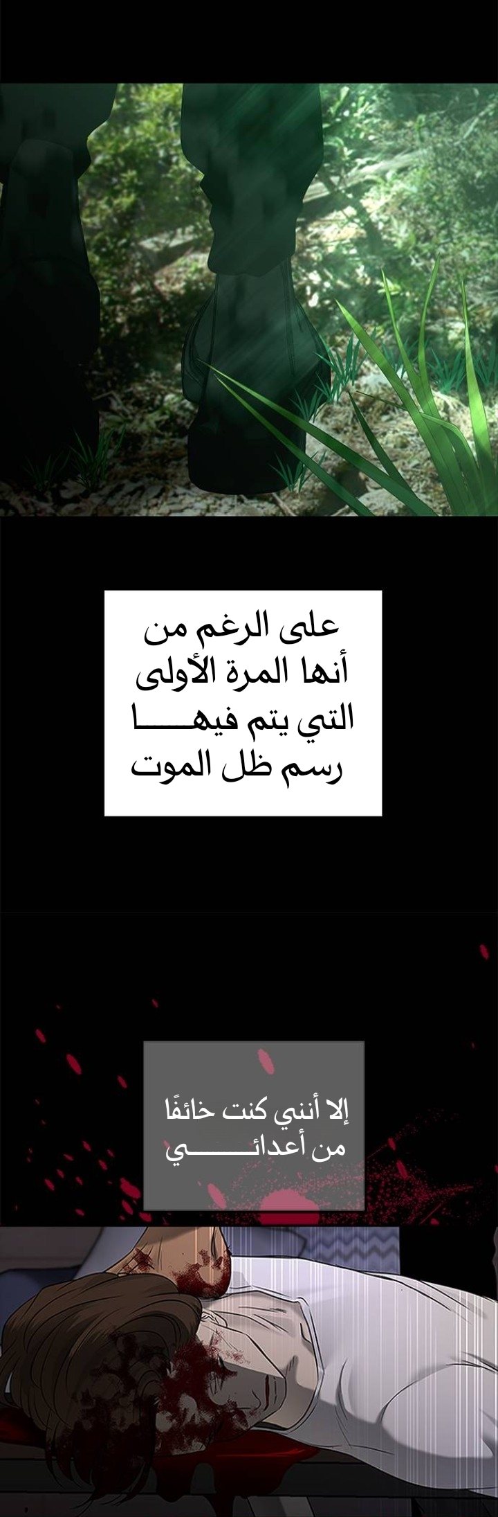 الصفحة 25