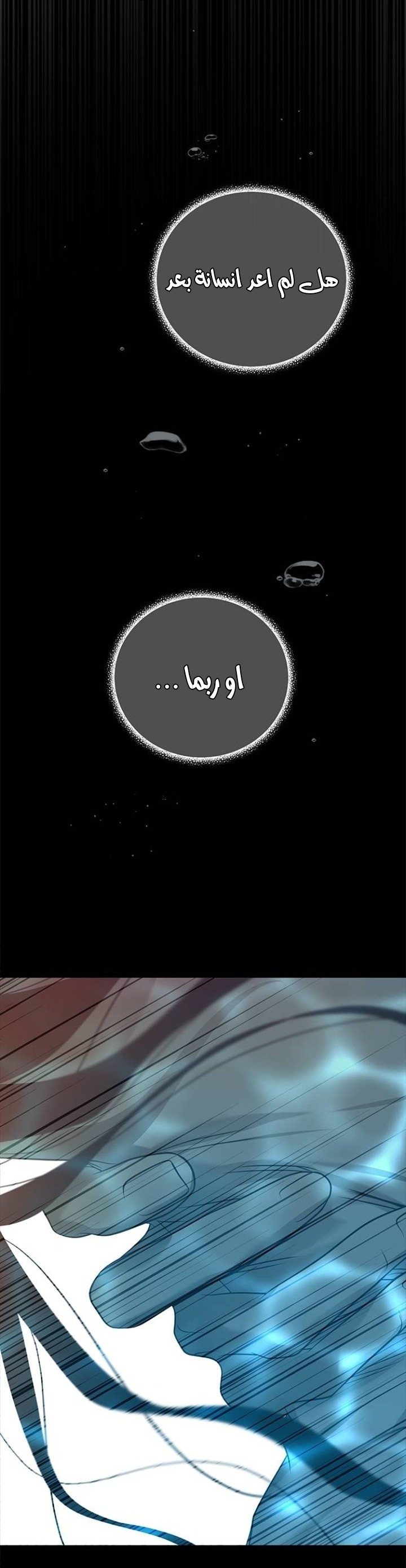 الصفحة 52