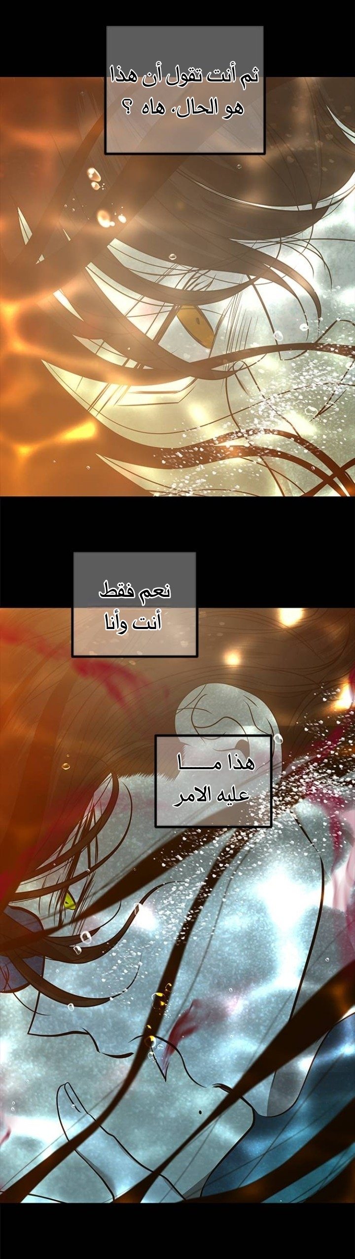 الصفحة 54