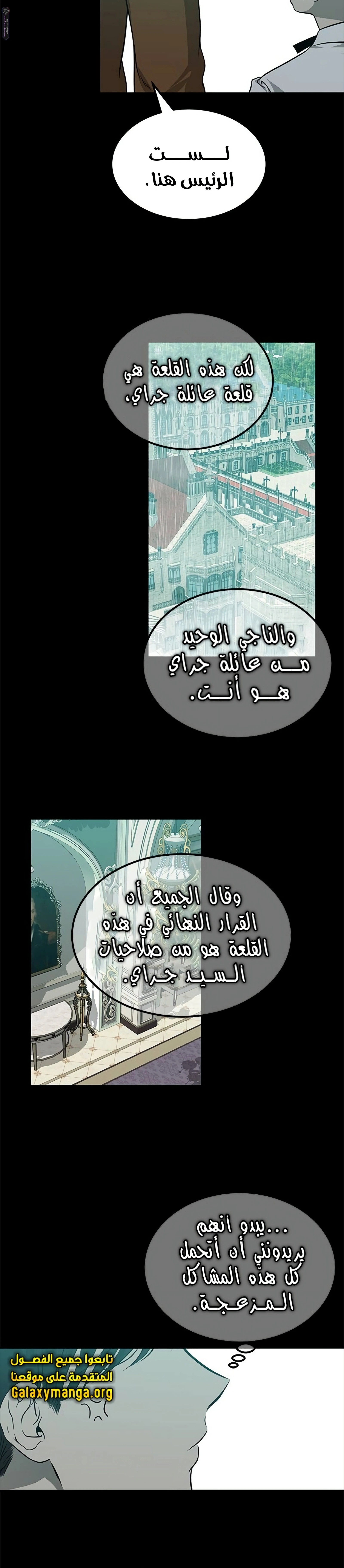 الصفحة 17