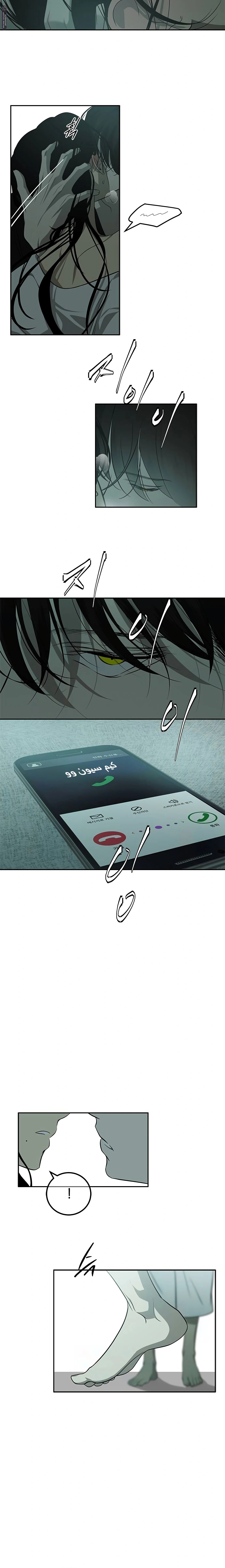 الصفحة 8