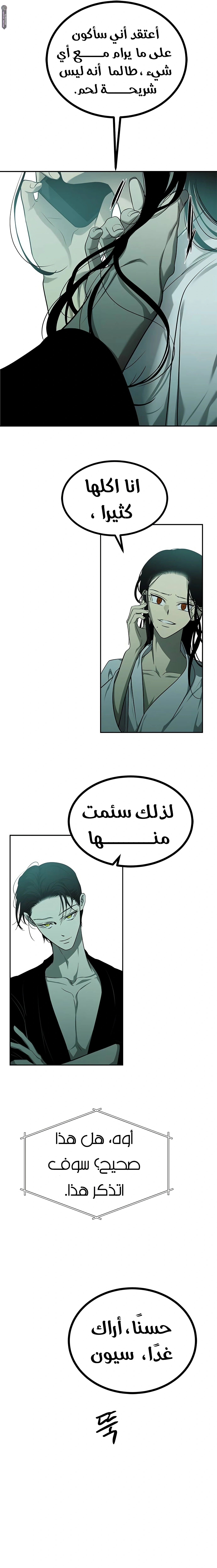 الصفحة 13