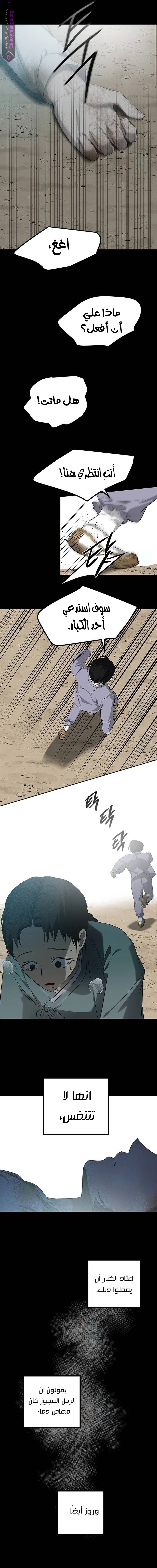 الصفحة 12